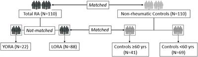 Inflammatory profile of incident cases of late-onset compared with young-onset rheumatoid arthritis: A nested cohort study